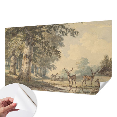 Fototapet barn Skogsfred