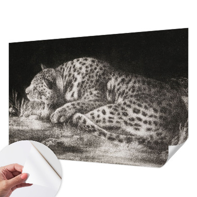 Fototapet barnrum med motiv av en vilande leopard