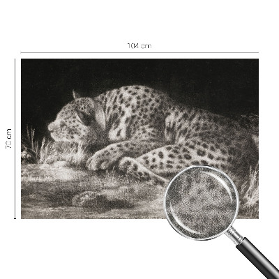 Fototapet barnrum med motiv av en vilande leopard