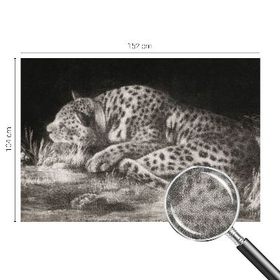 Fototapet barnrum med motiv av en vilande leopard