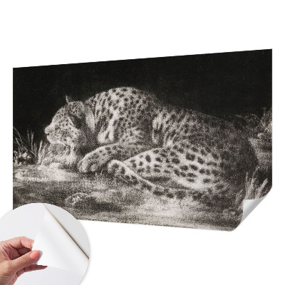 Fototapet barnrum med motiv av en vilande leopard