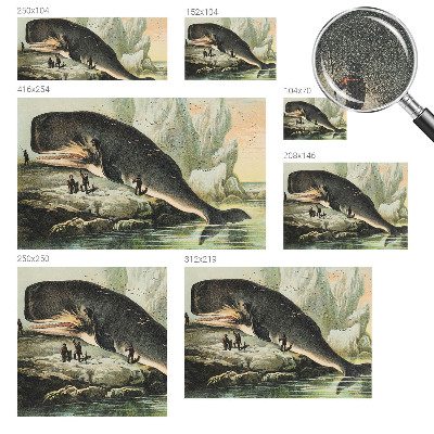 Peel and stick fototapet Havsgigantism