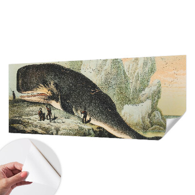 Peel and stick fototapet Havsgigantism