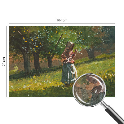3D fototapet med motiv av en hösteftermiddag