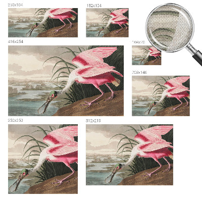 Självhäftande fotovägg Exotisk fågel