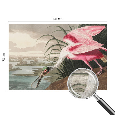 Självhäftande fotovägg Exotisk fågel