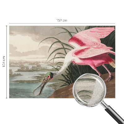 Självhäftande fotovägg Exotisk fågel