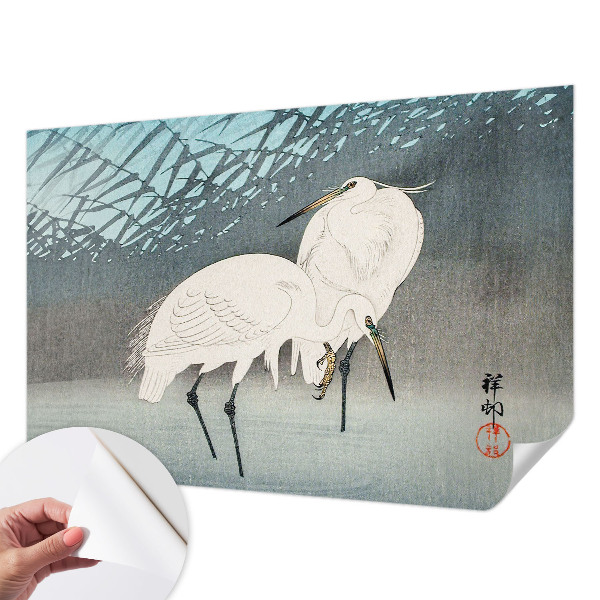 Fototapet barn Ömtåliga fåglar