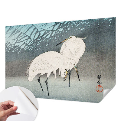 Fototapet barn Ömtåliga fåglar