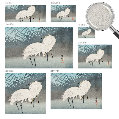 Fototapet barn Ömtåliga fåglar