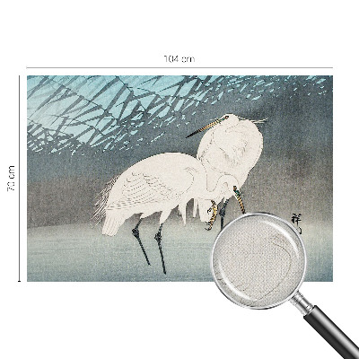 Fototapet barn Ömtåliga fåglar