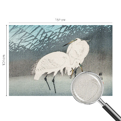 Fototapet barn Ömtåliga fåglar