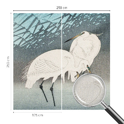 Fototapet barn Ömtåliga fåglar