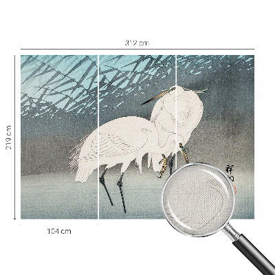 Fototapet barn Ömtåliga fåglar