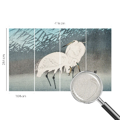 Fototapet barn Ömtåliga fåglar