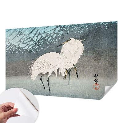 Fototapet barn Ömtåliga fåglar