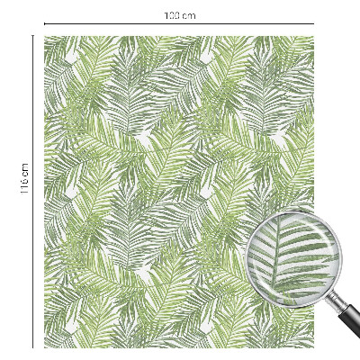 Solfilm fönster insynsskydd Växtmönster