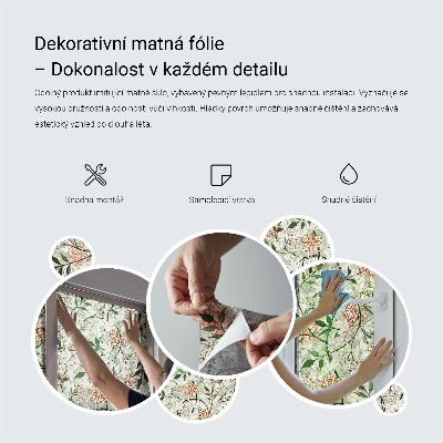 Frostfilm med dekorativt mönster Geometriska pilar