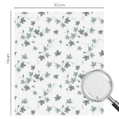 Solfilm fönster insynsskydd Grön vinranka