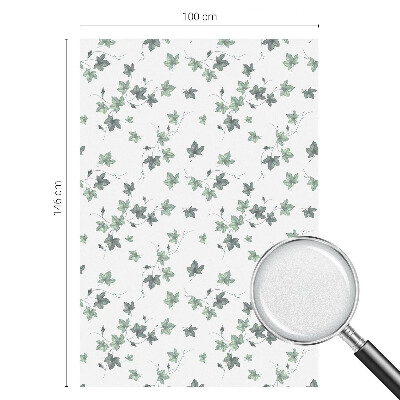 Solfilm fönster insynsskydd Grön vinranka