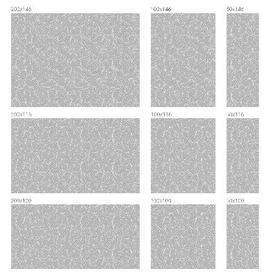 Solfilm fönster insynsskydd Lövrik elegans