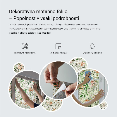 Fönsterfilm med mosaikmönster Snäckskal