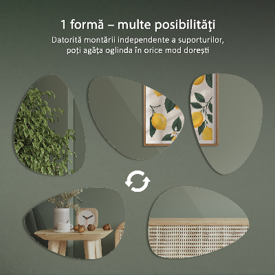 Organisk äggformad spegel dekorativ