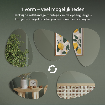 Organisk äggformad spegel dekorativ