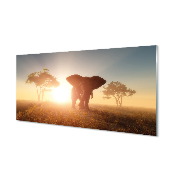 Akryltavla Soluppgång för elefantträd