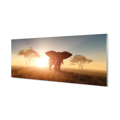 Akryltavla Soluppgång för elefantträd