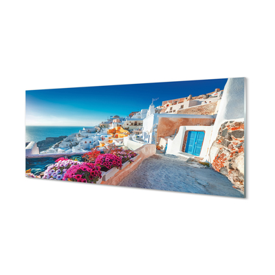 Akrylglas bild Grekland Byggnader havet blommor