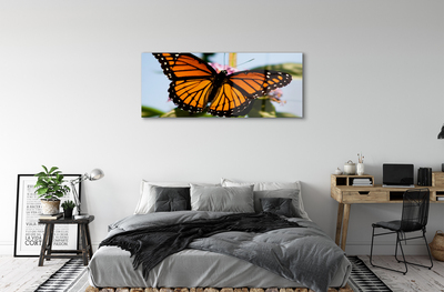 Bild på akrylglas Färgglad fjäril
