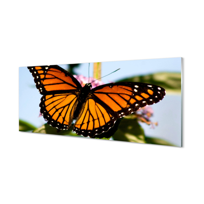 Bild på akrylglas Färgglad fjäril