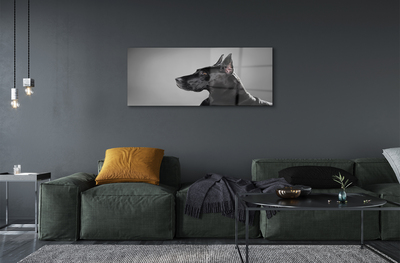 Akrylglas bild Svart hund