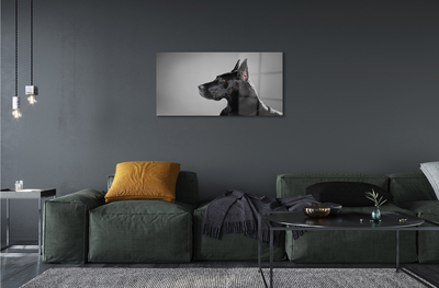Akrylglas bild Svart hund