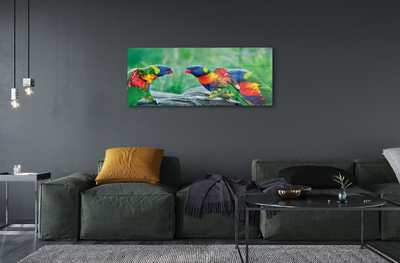 Bild på akrylglas Färgglada träd papegojor