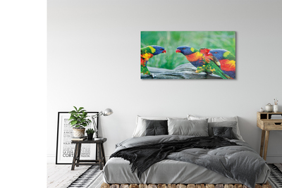 Bild på akrylglas Färgglada träd papegojor