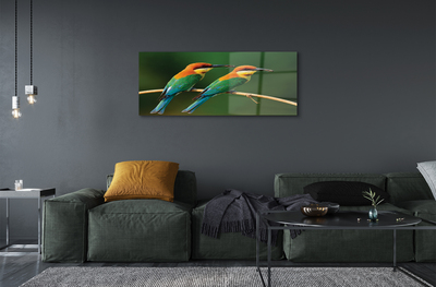 Akrylglas bild Färgglada papegojor på en gren