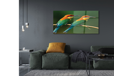 Akrylglas bild Färgglada papegojor på en gren