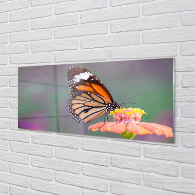 Bild på akrylglas Färgglad fjärilsblomma
