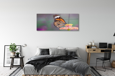 Bild på akrylglas Färgglad fjärilsblomma