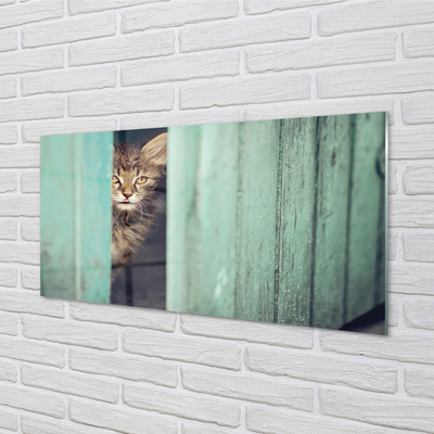 Akrylglas bild Katt tittar in