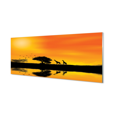 Tavla plexiglas Giraff solnedgång träd sjö