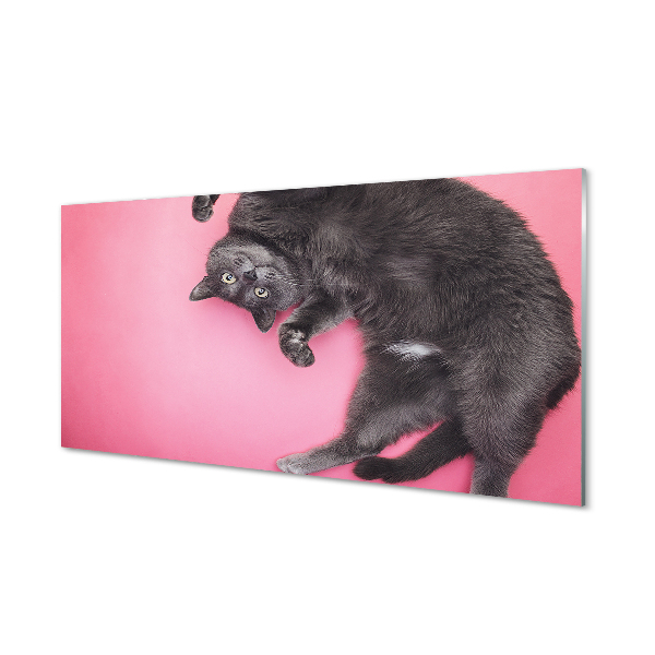 Akrylglastavla Liggande katt