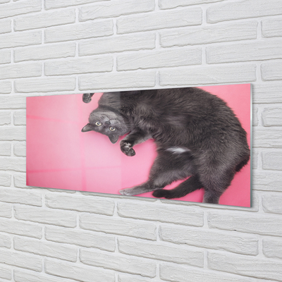 Akrylglastavla Liggande katt
