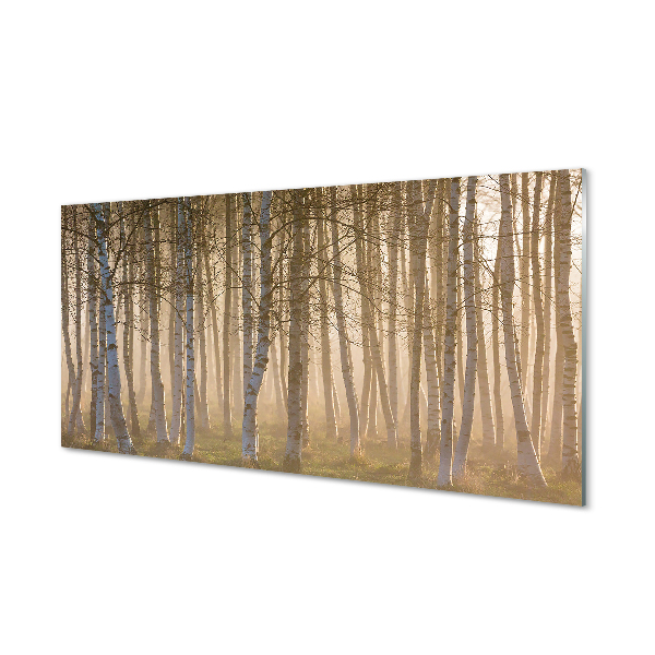 Bild på akrylglas Soluppgång skogsträd