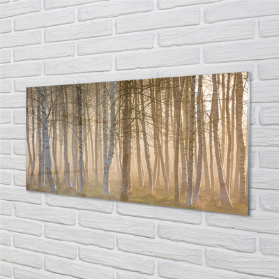 Bild på akrylglas Soluppgång skogsträd