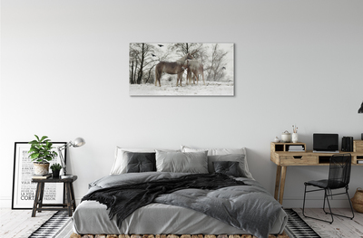 Bild på akrylglas Vinterskog med enhörningar