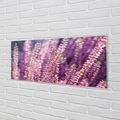 Bild på akrylglas Blommor