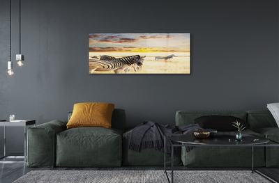 Plexiglas tavla Zebrafältsolnedgång